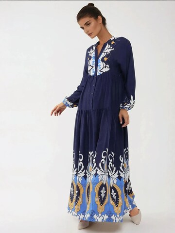 Hiccup Shirt Dress in Blue