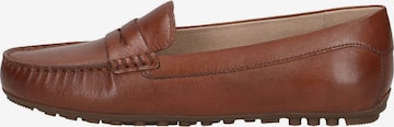 CAPRICE Moccasins in Brown