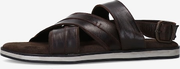 Sandales MANFIELD en marron : devant