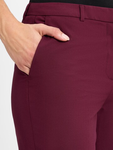 Ipuri Flared Pantalon in Rood
