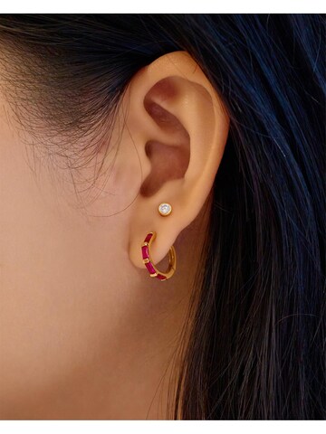 ANIA HAIE Earrings in Gold: front