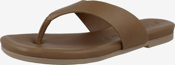 TAMARIS T-Bar Sandals ' 1-27131-38 ' in Brown: front