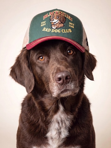 Blackskies Cap 'Trucker Cap'‌‌‌‌‌‌‌ in Grün