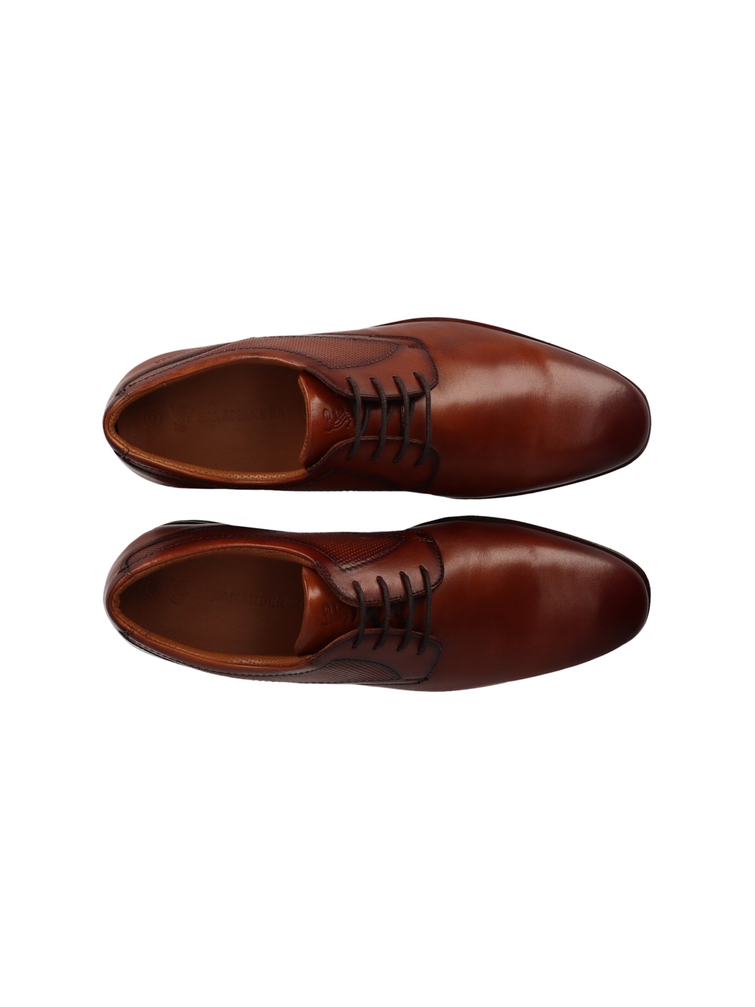 SALAMANDER Lace-up shoe in Brown