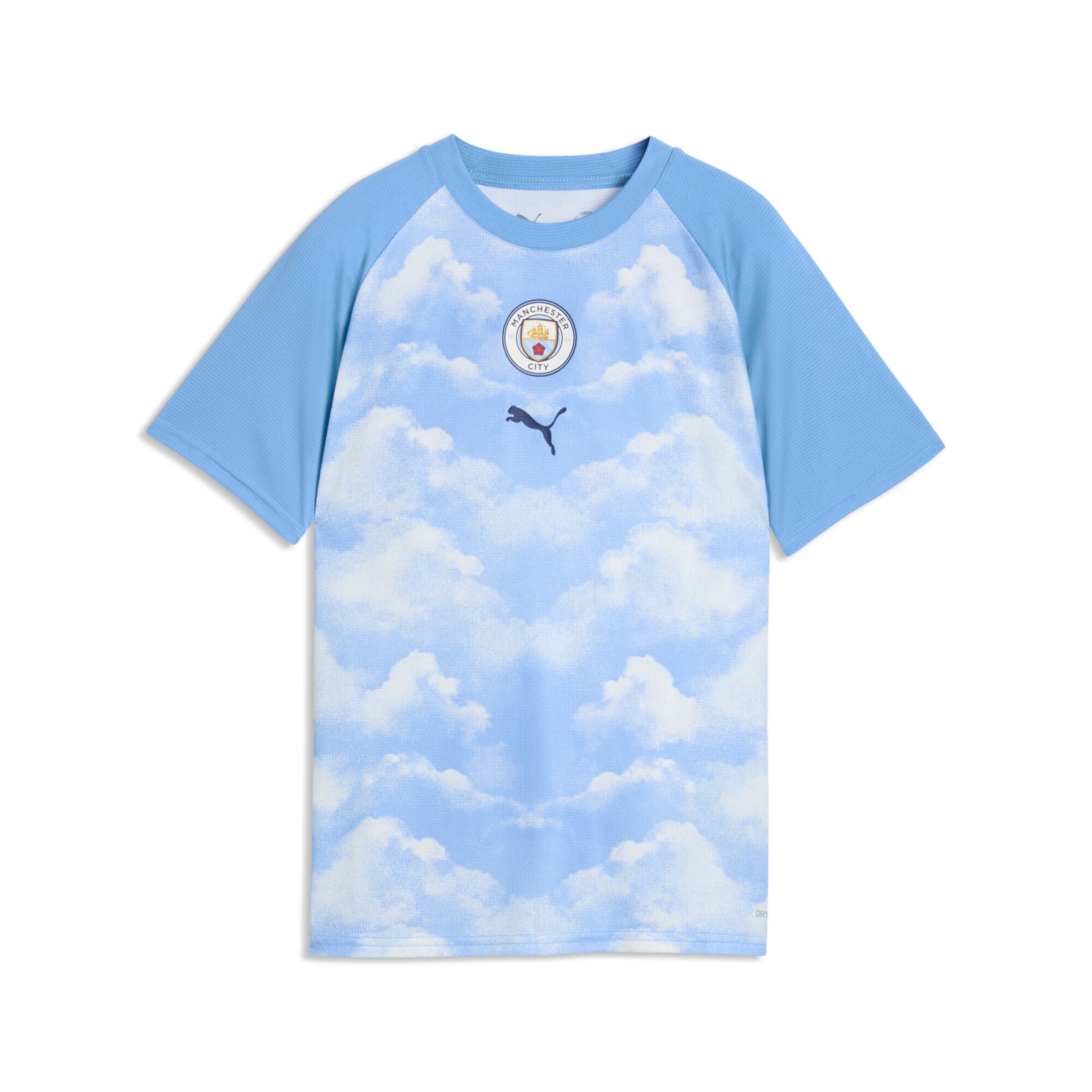 PUMA Functioneel shirt 'Manchester City' in Blauw: voorkant