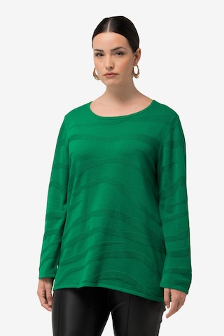 Pullover di Ulla Popken in verde: frontale
