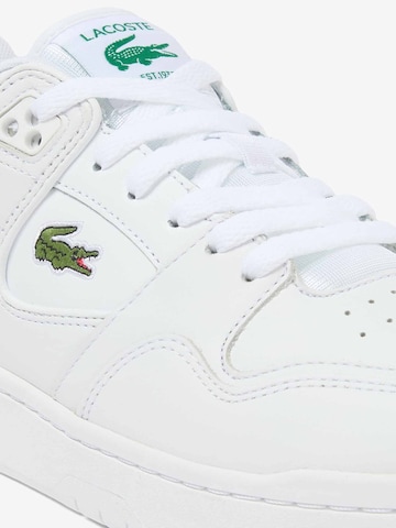 Sneaker bassa 'Courtcage Set' di LACOSTE in bianco