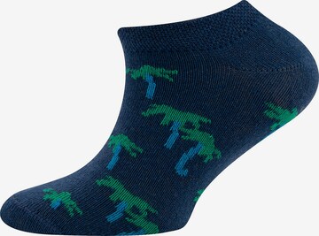 EWERS Socks in Blue