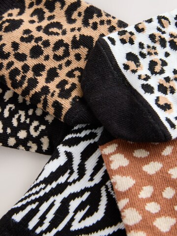 Next Füßlinge in Schwarz