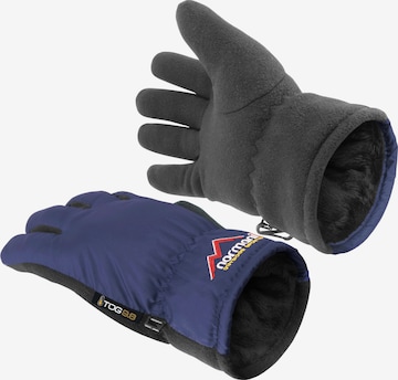 normani Athletic Gloves ' Lupus ' in Blue
