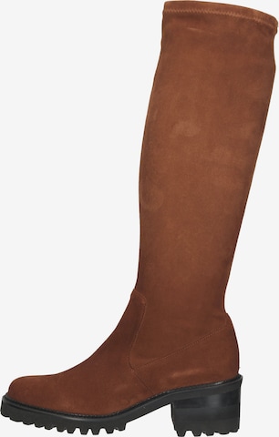 PETER KAISER Boots in Brown: front