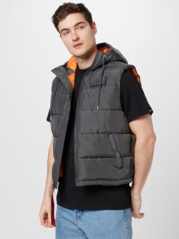 Gilet di ALPHA INDUSTRIES in grigio: frontale