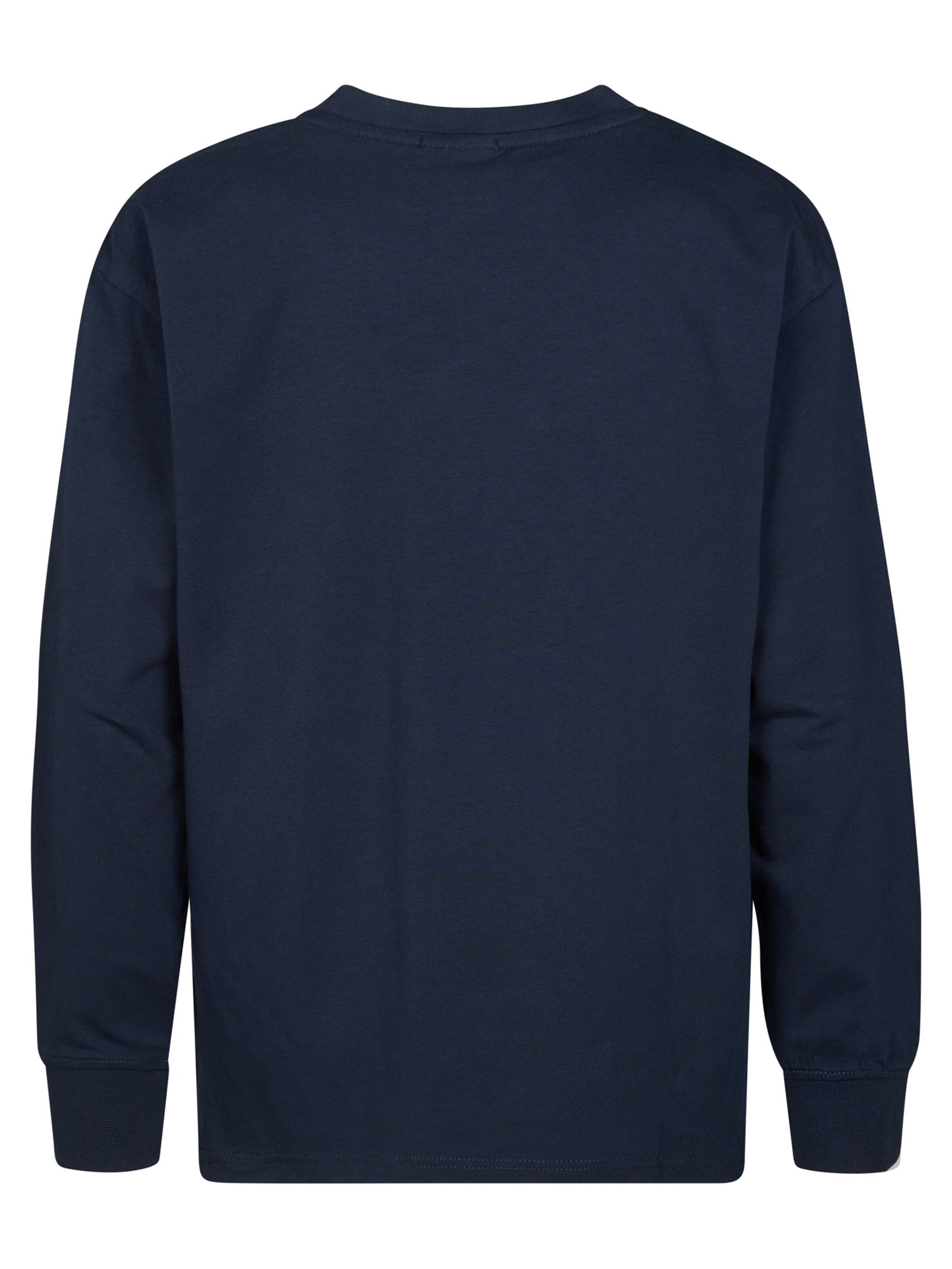 Petrol Industries Shirt 'Mezquite' in Blauw