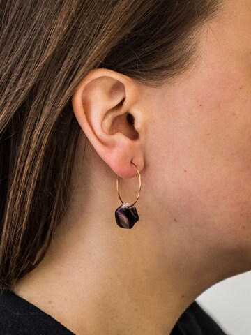 Fräulein Wunder - Brincos 'Acetat Creolen Alice' em mistura de cores: frente