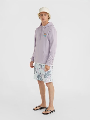 O'NEILL Sweatshirt 'Og Sun' in Purple