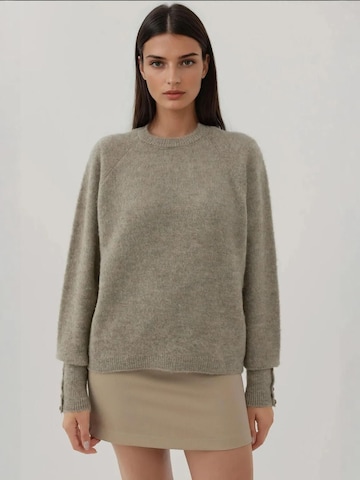 Hiccup - Pullover em cinzento: frente