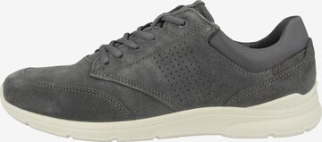 ECCO Sneakers laag 'Irving' in Grijs