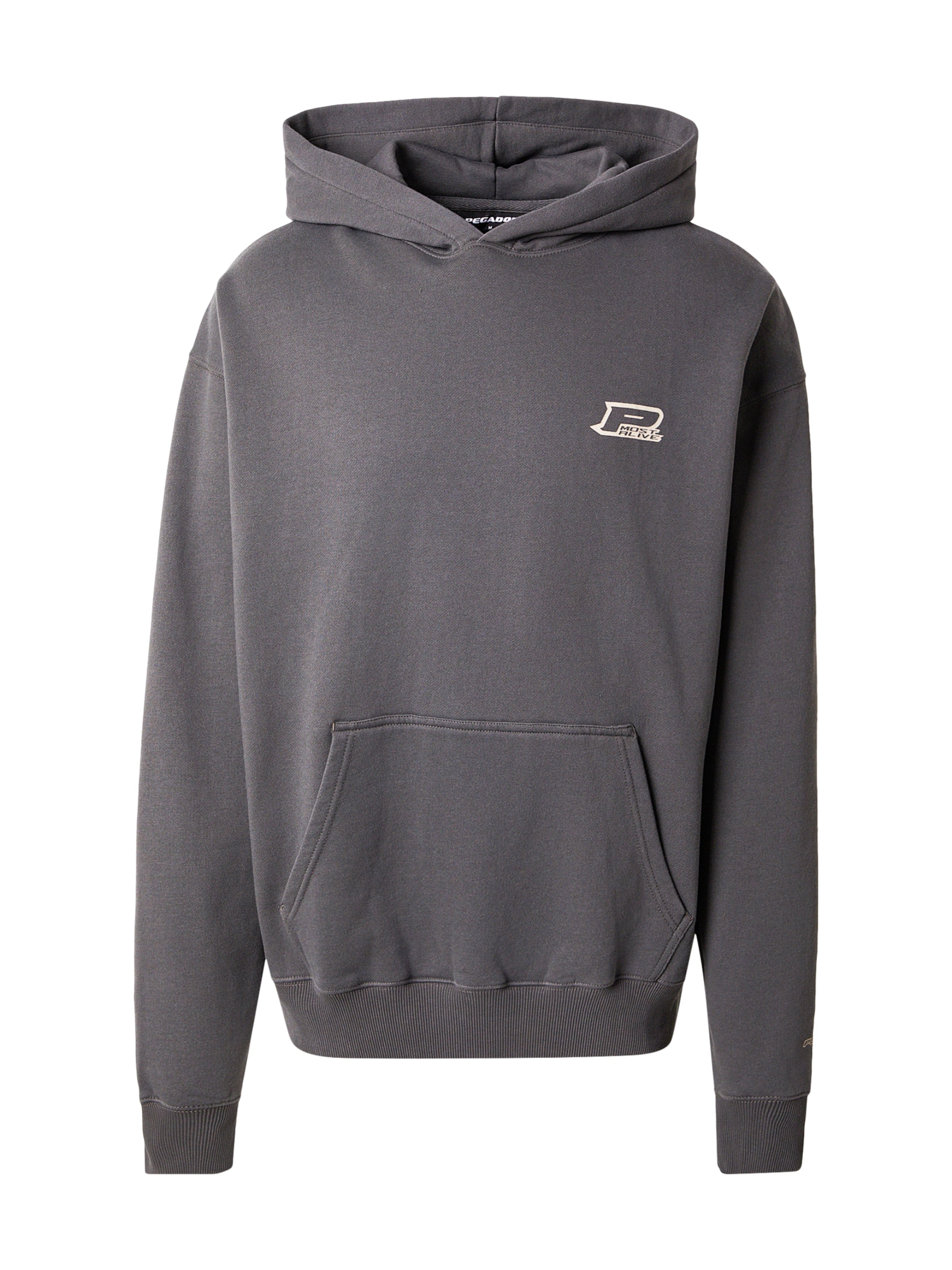 Pegador Bluzka sportowa 'Fox' w kolorze szary: przód