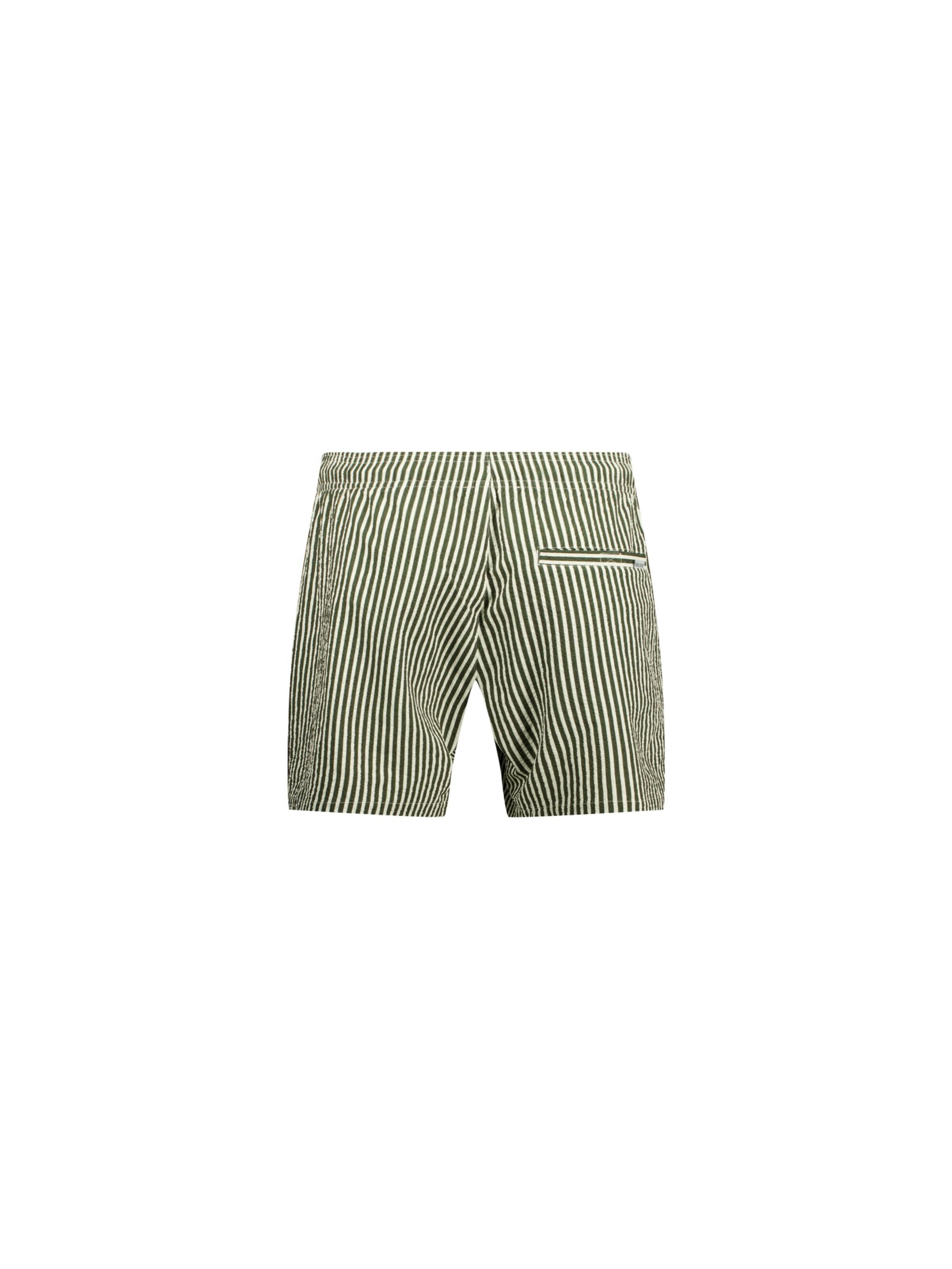 Deeluxe Board Shorts 'Pedro' in Green