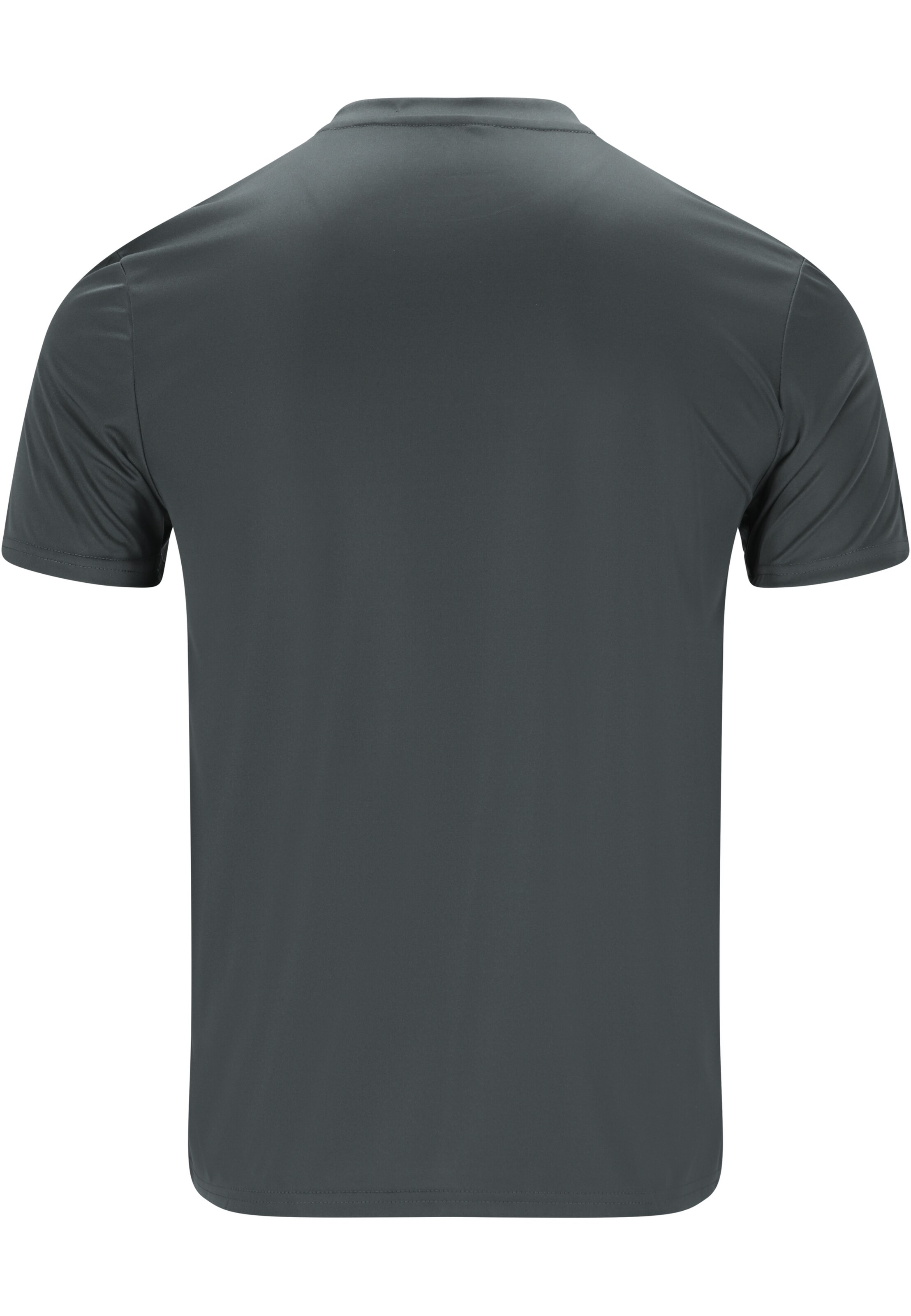 ENDURANCE Performance shirt 'Dipose' in Grey