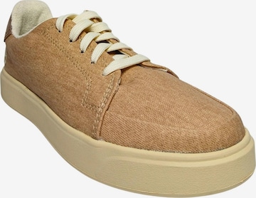 Sneaker bassa di TIMBERLAND in beige: frontale