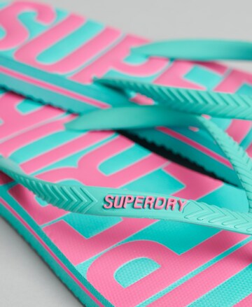 Tongs Superdry en bleu