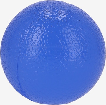 ENDURANCE Ball in Blau: Vorderseite