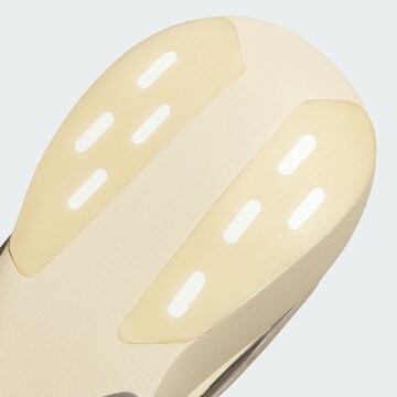 ADIDAS PERFORMANCE Loopschoen 'Adizero Evo Sl' in Beige