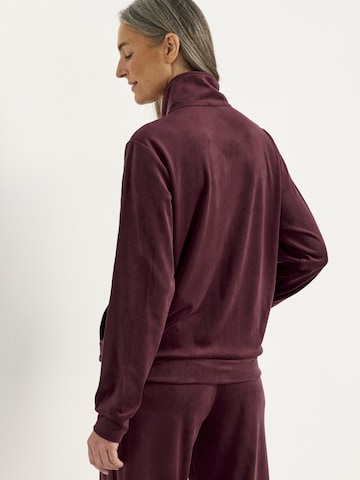 Cellbes of Sweden Tussenjas in Rood
