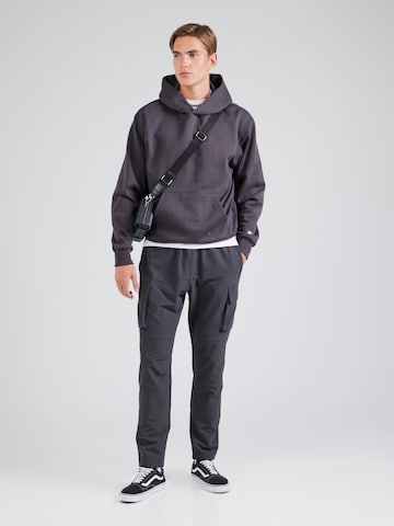 Champion Authentic Athletic Apparel Sweatshirt i grå