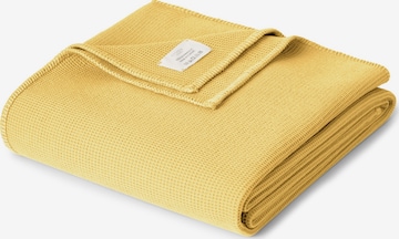 Cradle Studio Blankets 'Piqué Oversize' in Yellow