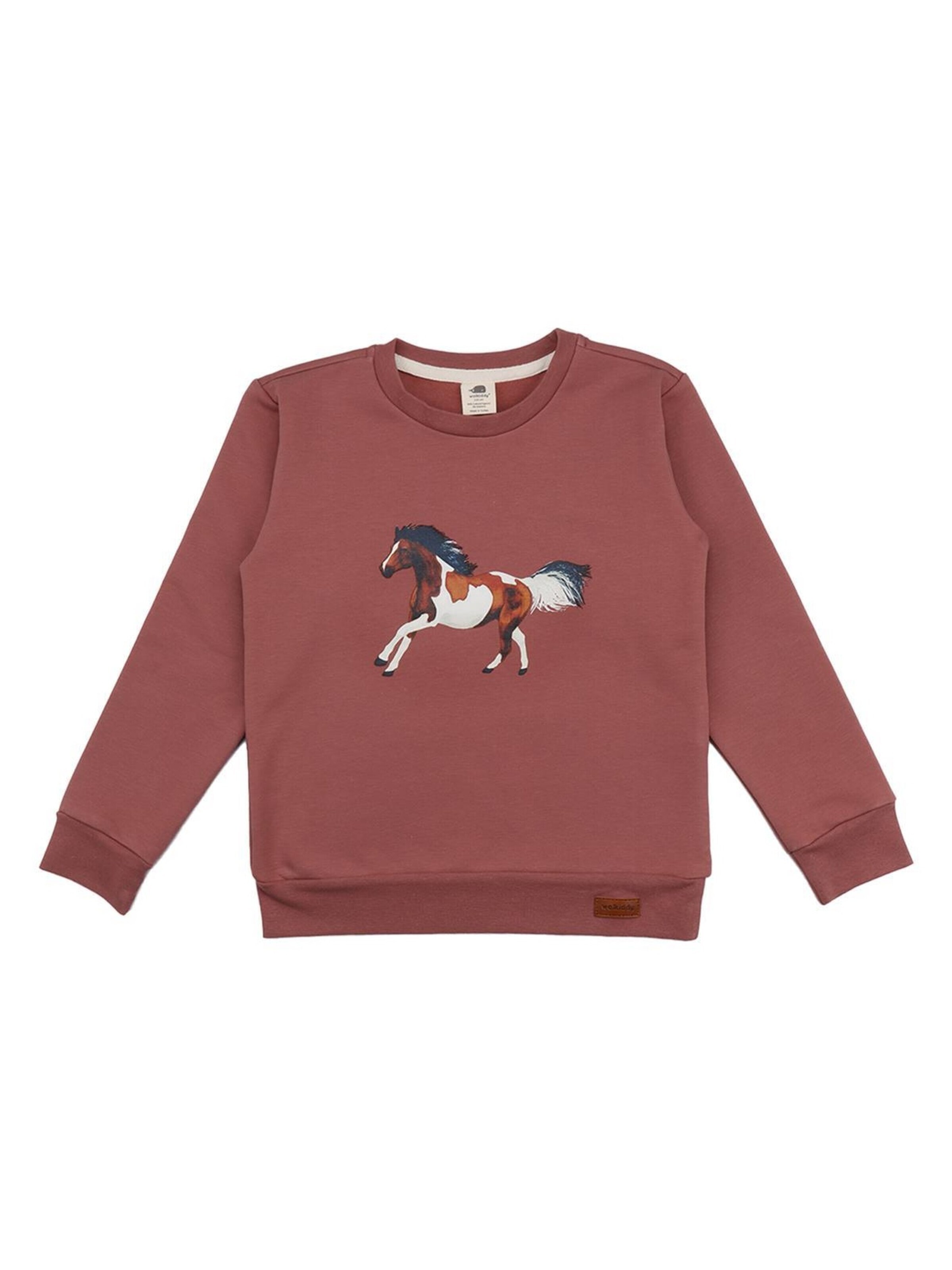 Walkiddy Sweatshirt 'Joyful Horses' in Pink: front
