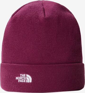 THE NORTH FACE Beanie 'NORM' in Purple: front