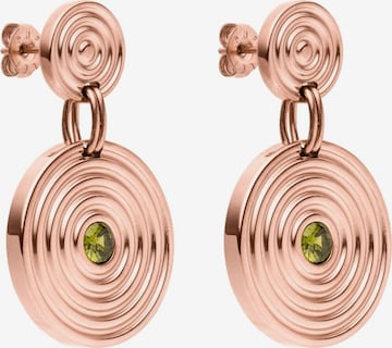 PURELEI Earrings 'Artistic' in Gold: front