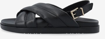 Bianco Mules 'ASILJE' in Black: front