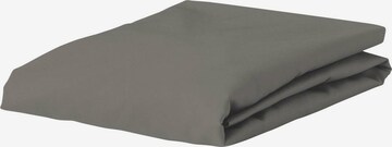 ESSENZA Bed Sheet in Grey: front