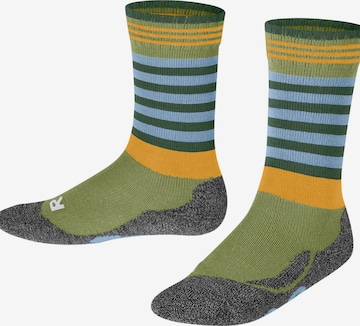 FALKE Socks 'Active Frog' in Green: front