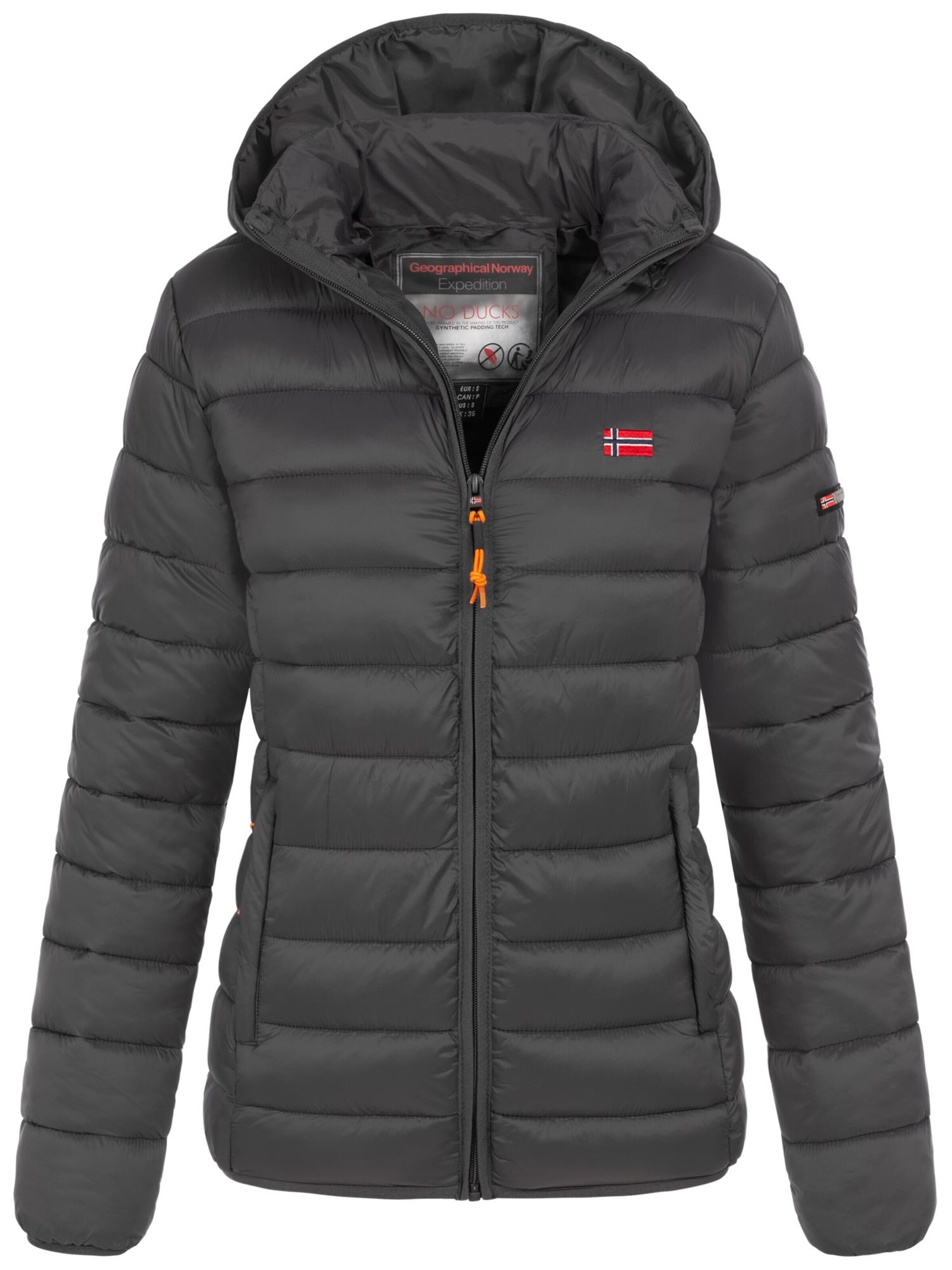 GEOGRAPHICAL NORWAY Winter Jacket 'Damen Herbst Winter Jacke Steppjacke Outdoor Übergangs leicht Kapuze' in Grey: front