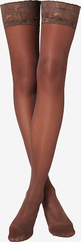 CALZEDONIA Overknee Strümpfe in Braun: Vorderseite