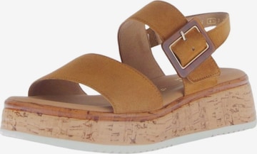 Sandalo di GABOR in marrone: frontale