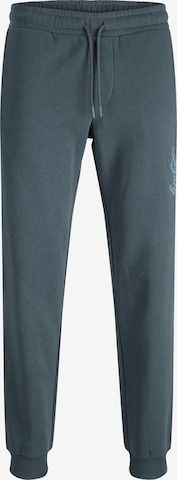JACK & JONES - Pantalón 'JPSTGORDON' en gris: frente