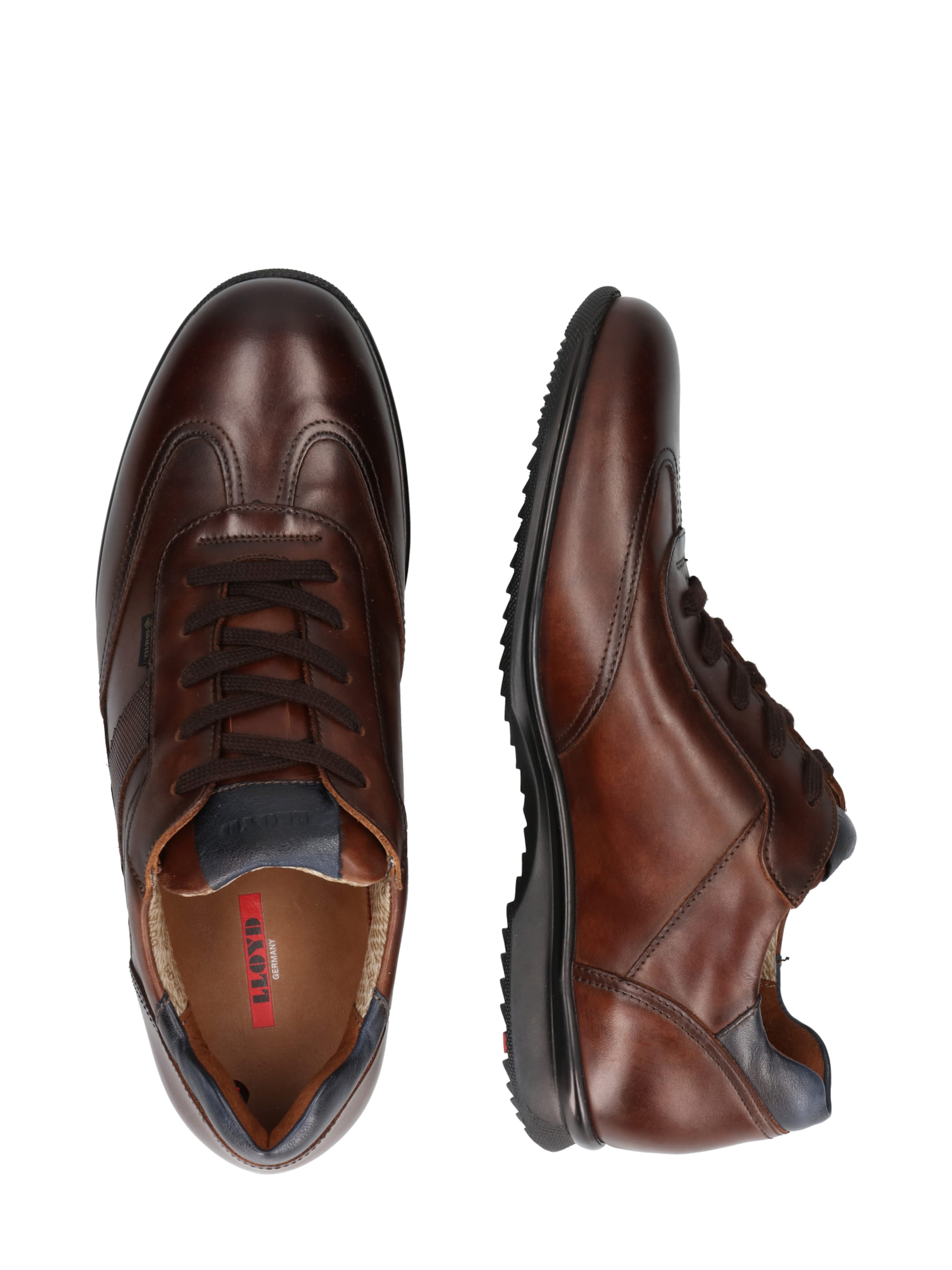 LLOYD Schnürschuh 'Vernon' in Braun