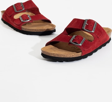 Bayton Pantolette 'Atlas' in Rot