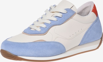 Baskets basses BALDININI en bleu : devant