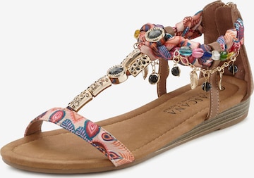 LASCANA Sandalen met riem in Gemengde kleuren: voorkant