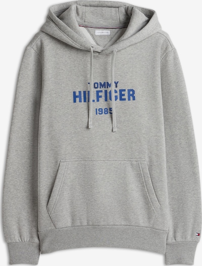 XS dydžio Megztinis be užsegimo iš TOMMY HILFIGER, spalva – mėlyna / margai pilka, Prekių apžvalga