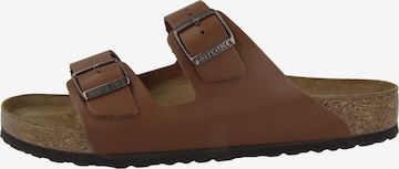 Zoccoletto di BIRKENSTOCK in marrone: frontale