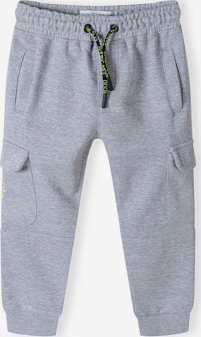 pilka MINOTI Standartinis Kelnės: priekis