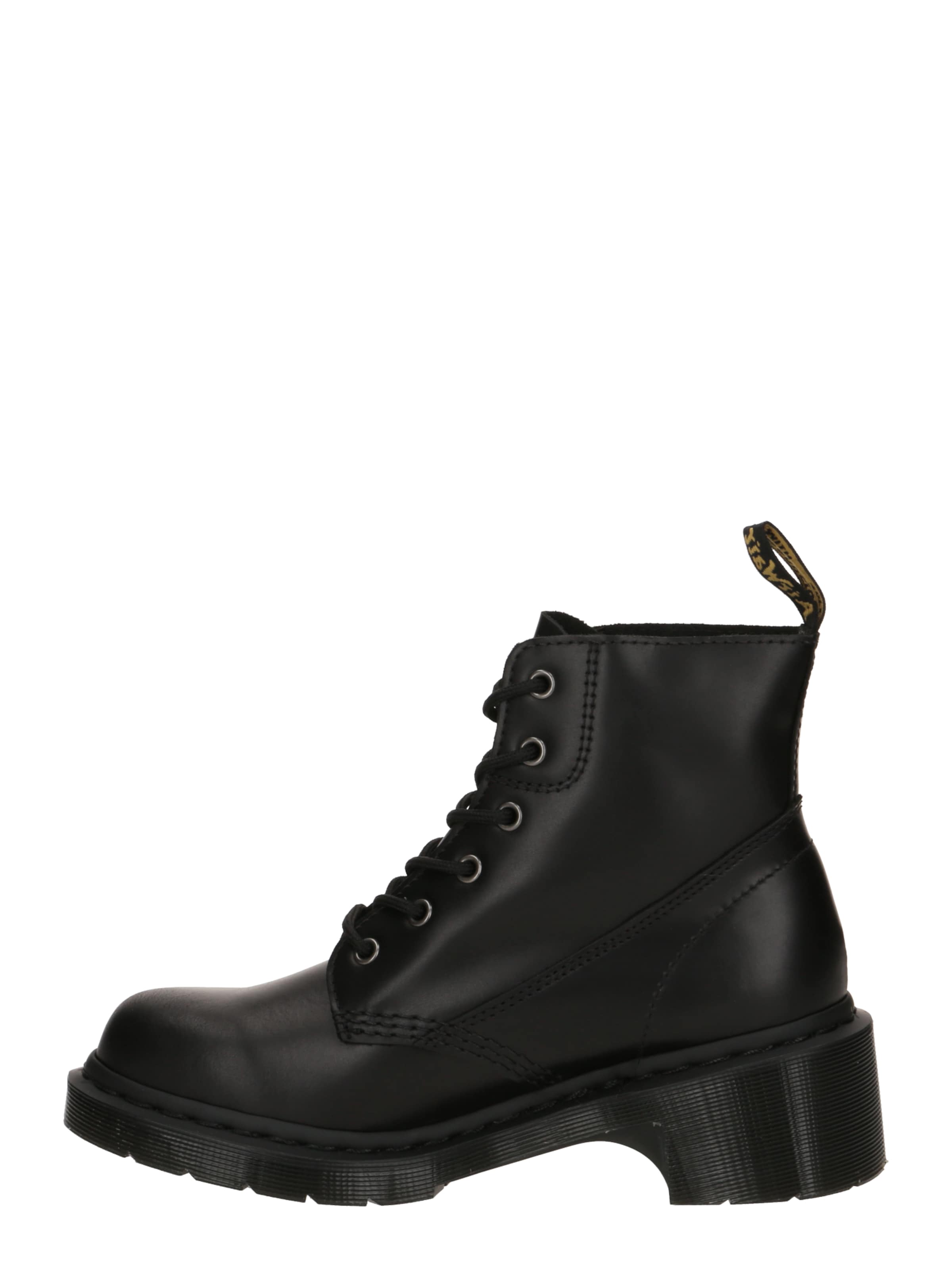 Dr. Martens Lace-Up Ankle Boots 'Alderstone' in Black