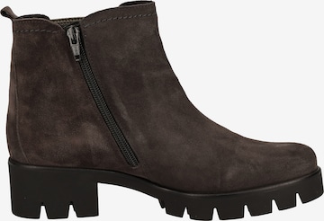 GABOR Chelsea Boots in Brown